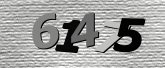 Obraz captcha
