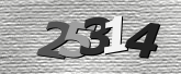 Obraz captcha