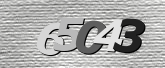 Obraz captcha