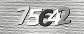 Obraz captcha