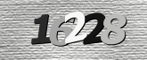Obraz captcha