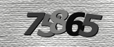 Obraz captcha