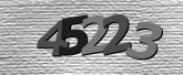 Obraz captcha