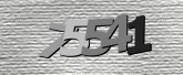 Obraz captcha