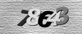 Obraz captcha