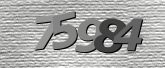 Obraz captcha