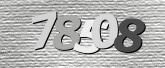 Obraz captcha