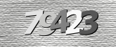 Obraz captcha