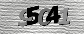 Obraz captcha