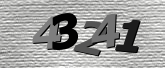 Obraz captcha