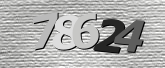 Obraz captcha