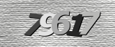 Obraz captcha