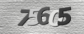 Obraz captcha