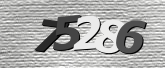 Obraz captcha