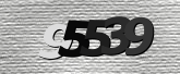 Obraz captcha
