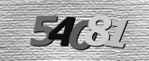 Obraz captcha