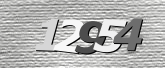 Obraz captcha