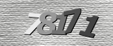 Obraz captcha