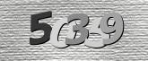 Obraz captcha