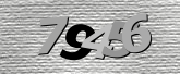 Obraz captcha