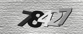 Obraz captcha