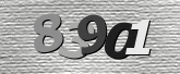 Obraz captcha