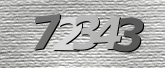 Obraz captcha
