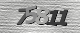 Obraz captcha