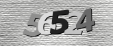 Obraz captcha