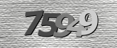 Obraz captcha