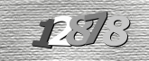 Obraz captcha
