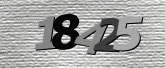 Obraz captcha