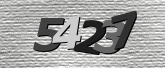 Obraz captcha