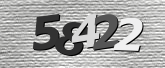 Obraz captcha