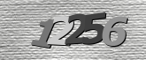 Obraz captcha
