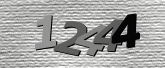 Obraz captcha