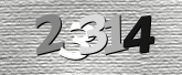 Obraz captcha