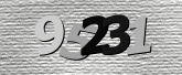 Obraz captcha
