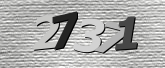 Obraz captcha