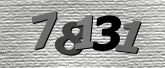 Obraz captcha