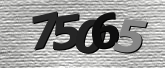 Obraz captcha