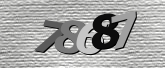 Obraz captcha