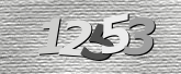 Obraz captcha