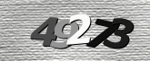 Captcha görseli