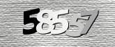 验证码图片