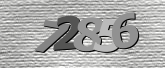 验证码图片