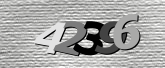 验证码图片