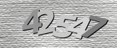 验证码图片