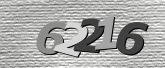验证码图片