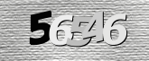 验证码图片
